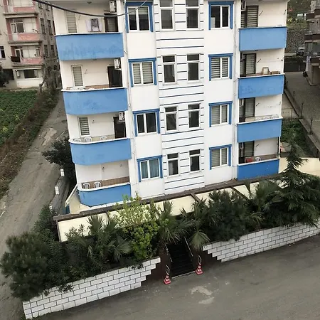 Kuzey 트라존